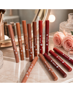 ليب ستيك وتحديد شفاه شيجلام SHEGLAM Melt & Plump