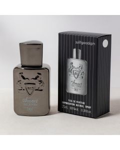 عطر سمارت كوليكشن رقم 493 للرجال – Smart Collection No. 493 Eau de Parfum 25ml